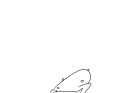 New Canvas.png