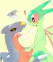 Flygon58.png