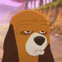 MY EXASPERATED FACE.jpg