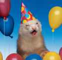 bday.jpg