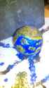 IMG-20160518-WA0031.jpg