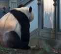 IMG_2458.jpg
