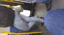 SpyPhoto_20161015_174158602.jpg