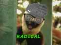 RADZAB.jpg