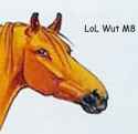 Horse.jpg