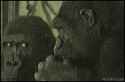 1334183078067.gif