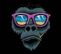 monkey.jpg