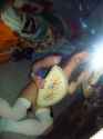 DSC02428.jpg