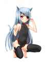 The.flattest.and.lewdest.chest.jpg