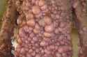 neurofibromatosis_1_080424.jpg