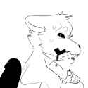 k9.png