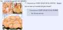 _d_ discusses fat chicks.png