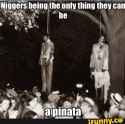 pinata.jpg
