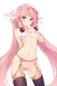 anime-image-agarest-senki-ellis-kerasu-girl-solo-stockings-black-stockings-legwear-black-legwear-pussy-garter-straps-garter-belt-boobs-nipple-navel-purple-eyes-pink-hair-pointed-ears-long-hair-twin.jpg
