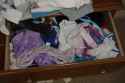 DSC01391.jpg