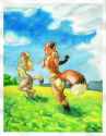 37_1457493111.kalahari_sowhynotnow.png
