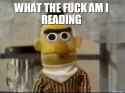 what-the-fuck-am-i-reading.png