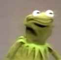 kermit1.png
