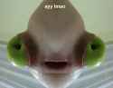 1476762523193.png