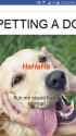 2016-10-18 00.42.14.png