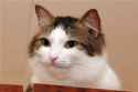received_136514940147685.jpg