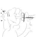 curl.png