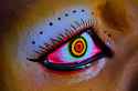 011_Durga-Puja-Large.jpg