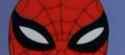 spidereyes.jpg
