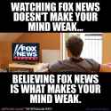 fox_1070080029680528_5332231225638658733_n.jpg