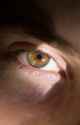 DSC00957.jpg