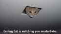Ceiling_Cat_by_SleepySnitter.jpg