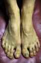 balletdancerfeet.jpg