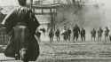 Yojimbo-Wallpapers-Japan-Classic-Movie-0.jpg