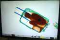571731_v2.jpg