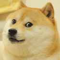 1373860338686.gif