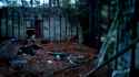 Broken Barn, inside.jpg