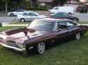 impala 68.jpg
