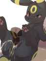 1875195 - Porkyman Umbreon nukochi.jpg