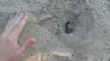 DSC01056.jpg