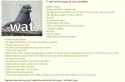 turtles.jpg