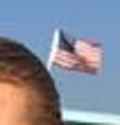 freedom.jpg