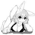 rabbit002.jpg