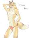 foxm002.jpg