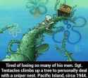 Saving Private Squid.jpg