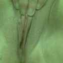 1bc8ec59-09ce-44b8-8529-bb7ddd1780cb_thumbnail.jpg