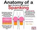 anatomyofaspanking.jpg