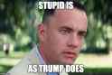 trumpstupic.jpg
