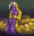 1457052784.viniciusthedragon_4.jpg