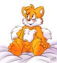 tailsitshy.png
