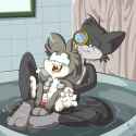 1127021_Fuf_funnycomickats.jpg